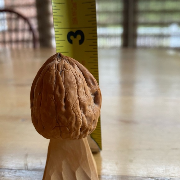 Intricate German Woodcarving in a Walnut Shell - Apothecary - Picture 6 of 7